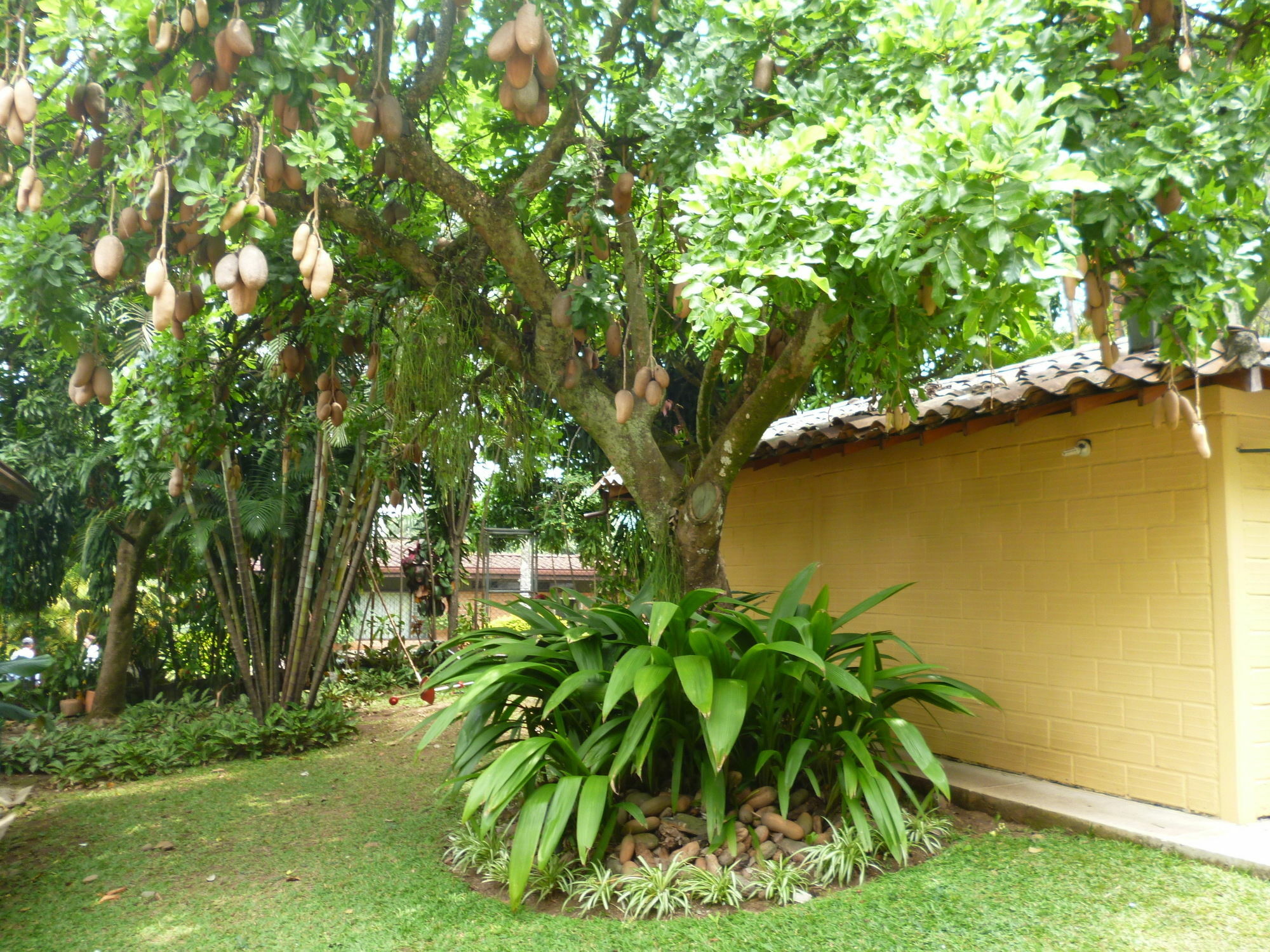 Hotel Poblado Campestre Medellín Kültér fotó